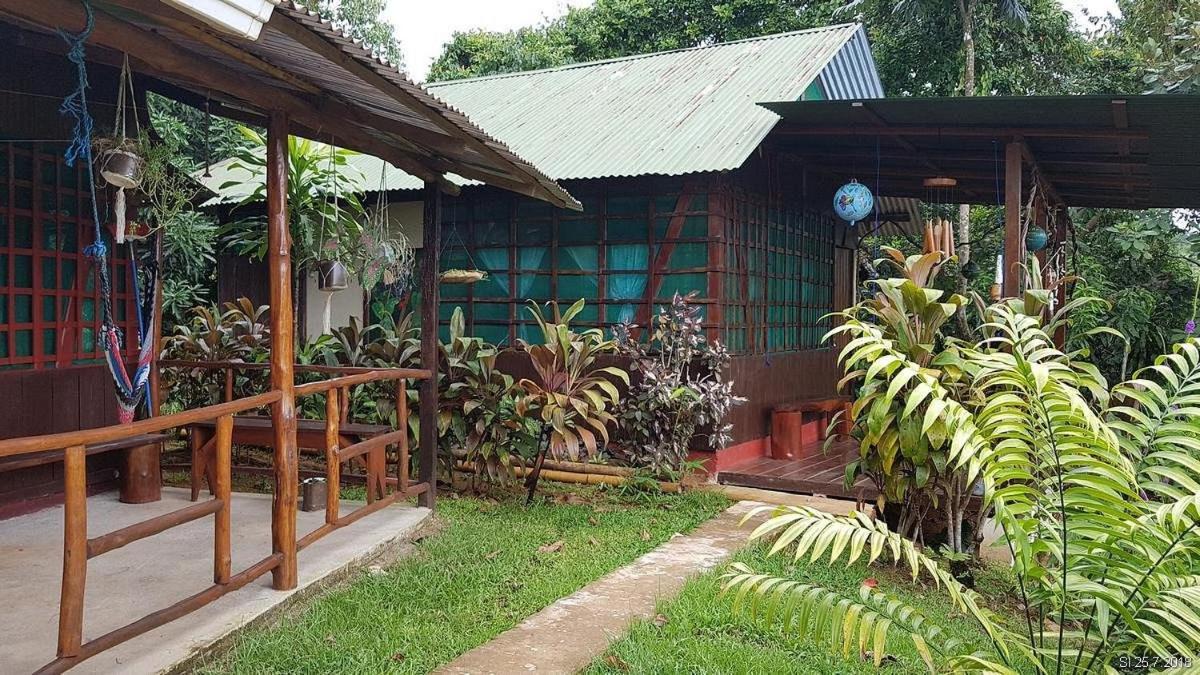 Vista Alta Ecolodge Bahia Drake Drake Bay Exterior photo